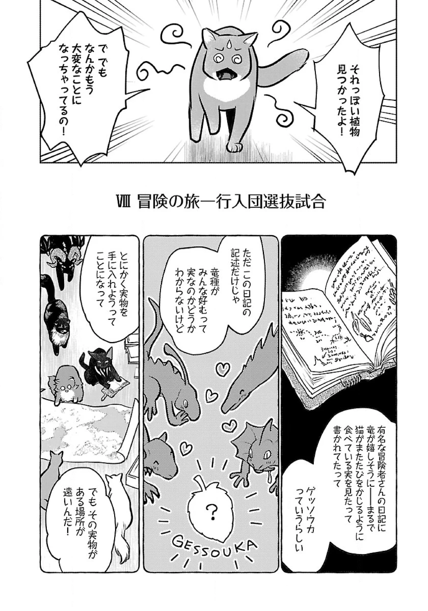 猫と竜 第45話 - 24