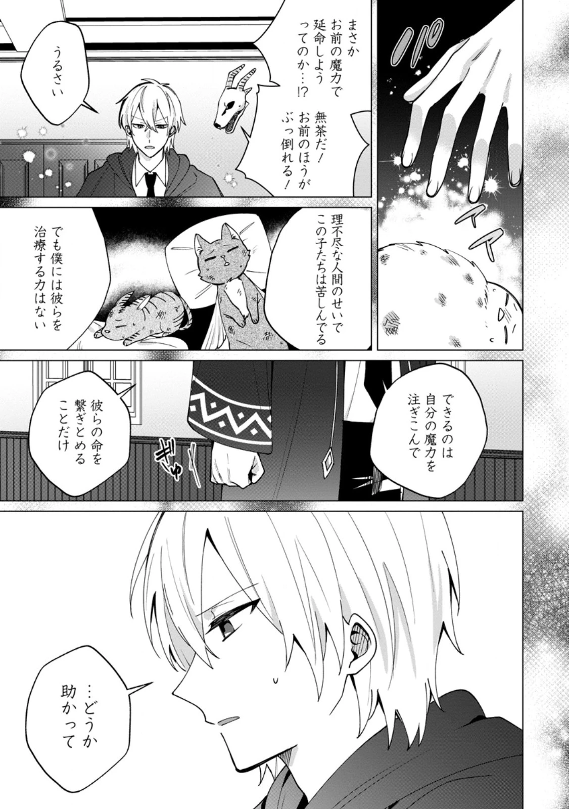 捨てられ聖女のもふもふ保護活動〜天才魔法使いと幻獣たちに愛されて幸せになります〜 第2.3話 - 3