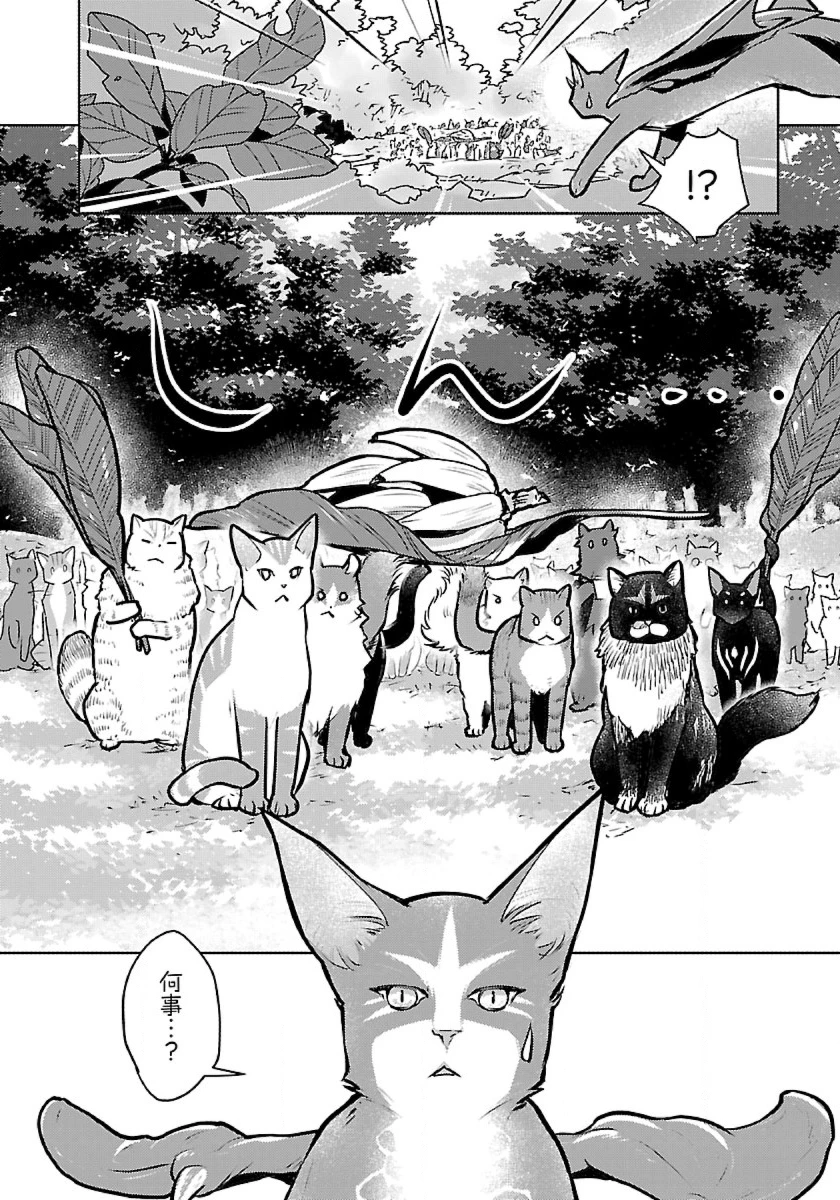 猫と竜 第45話 - 34
