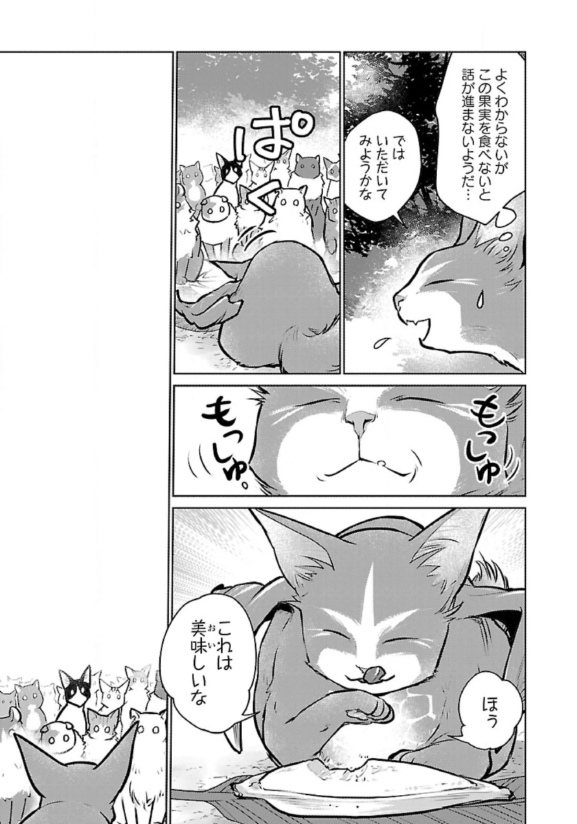 猫と竜 第45話 - 37