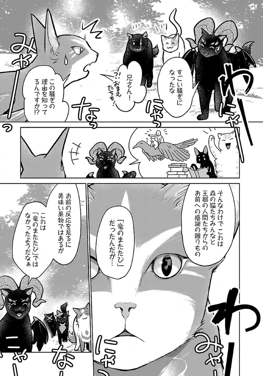 猫と竜 第45話 - 39