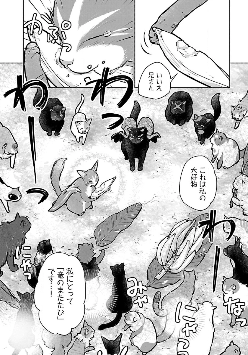 猫と竜 第45話 - 40