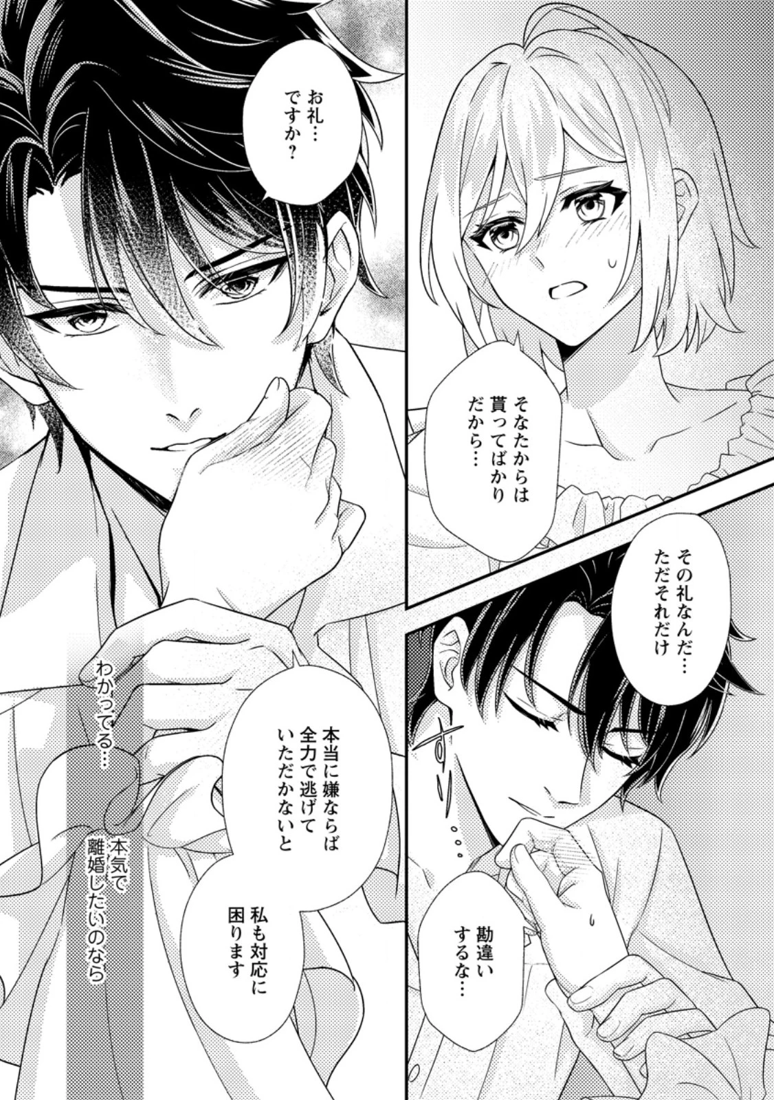 男装王女の悪妻計画～旦那様がぜんぜん離婚に応じてくれません～ 第6.2話 - 12