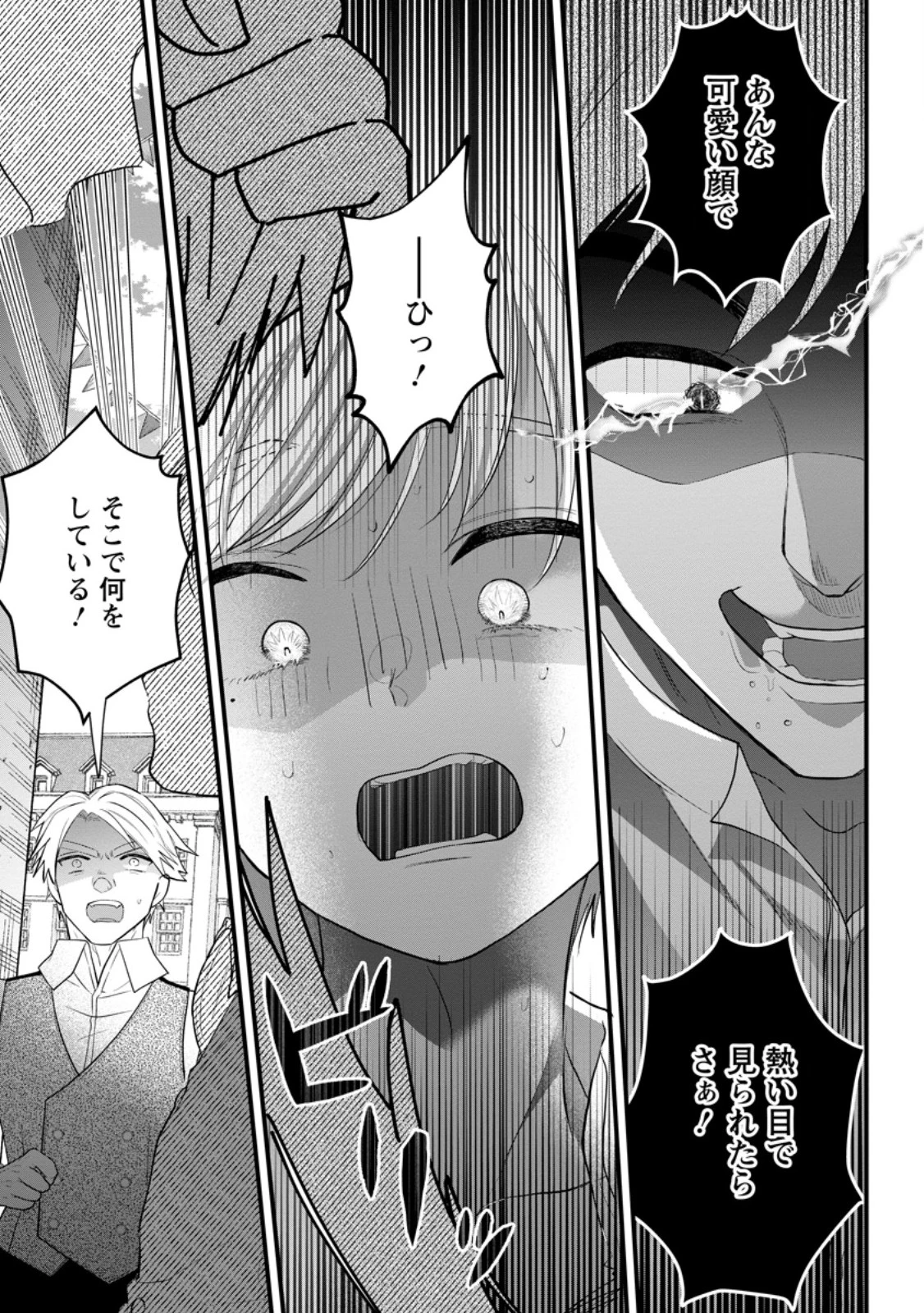 家族に役立たずと言われ続けたわたしが、魔性の公爵騎士様の最愛になるまで 第28.2話 - 3