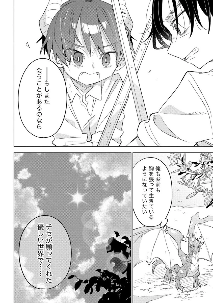 猫耳少女は森でスローライフを送りたい ～もふもふは所望しましたが、聖女とか王子様とかは注文外です～ 第14.2話 - 11