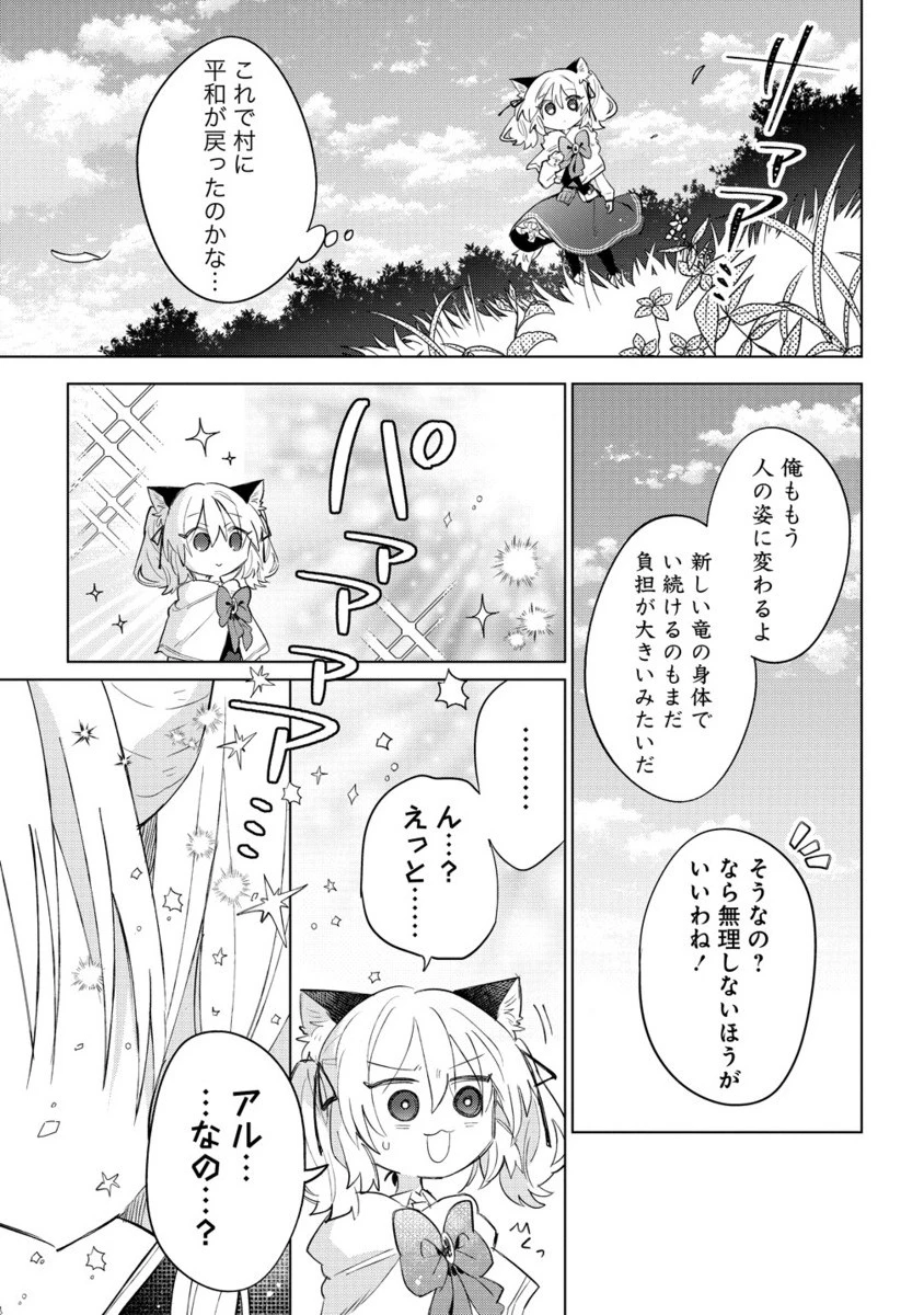 猫耳少女は森でスローライフを送りたい ～もふもふは所望しましたが、聖女とか王子様とかは注文外です～ 第14.2話 - 12