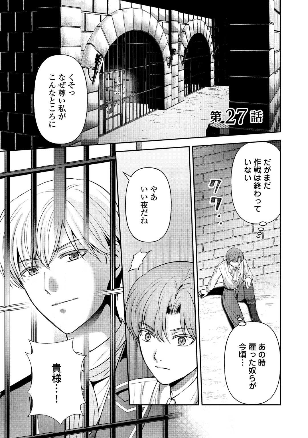 可愛い義妹が婚約破棄されたらしいので、今から「御礼」に参ります。 第27話 - 1