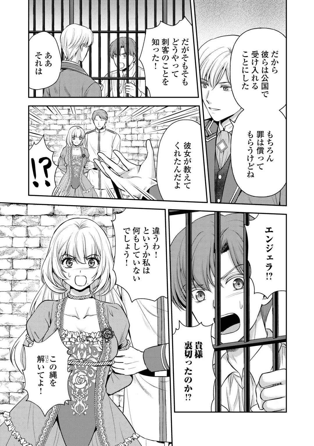 可愛い義妹が婚約破棄されたらしいので、今から「御礼」に参ります。 第27話 - 5