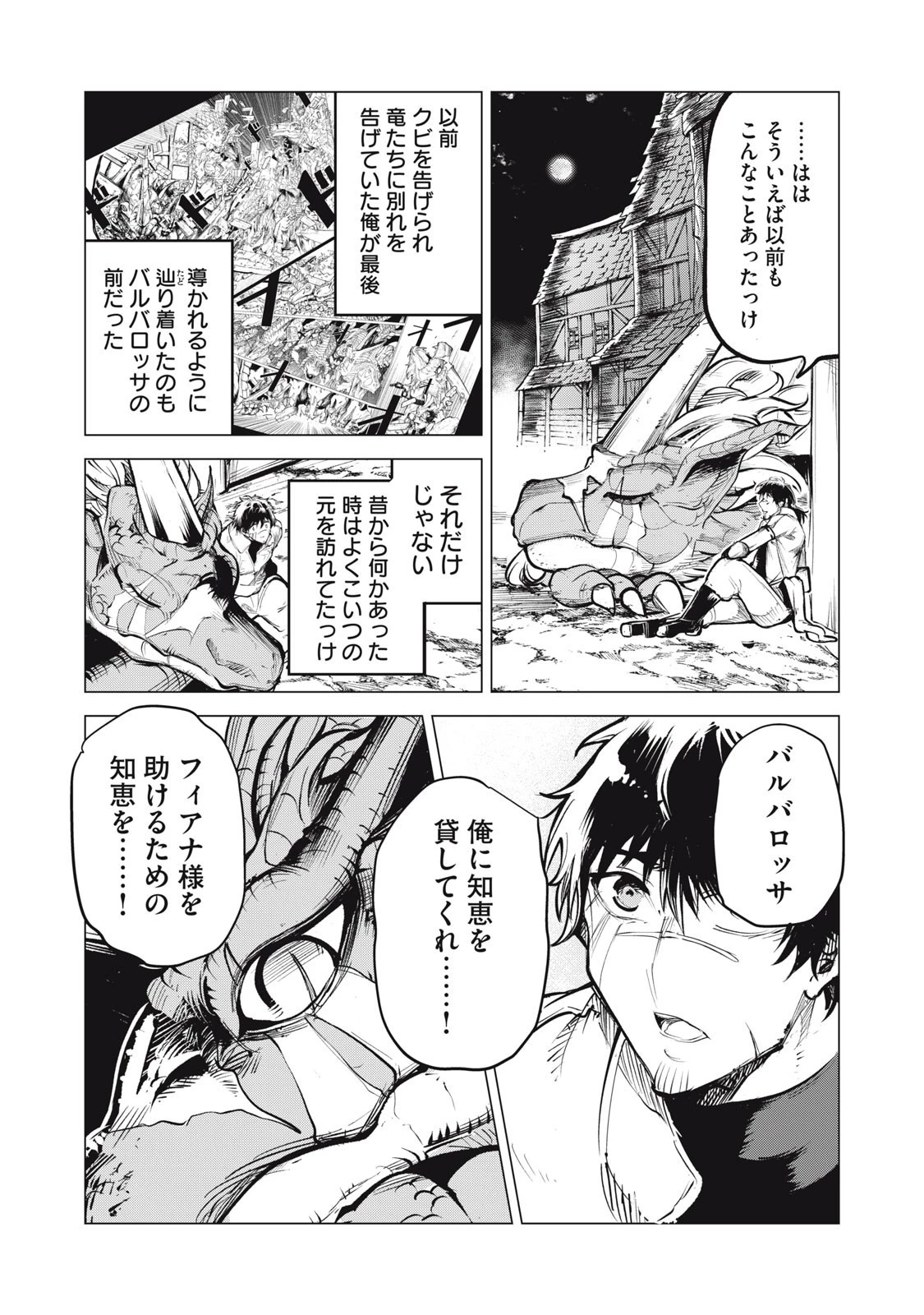 国を追われた竜師さん、拾われた隣国でうっかり無双してしまう。〜弱小国家が大陸最強の竜の楽園になるまで〜 第27話 - 9