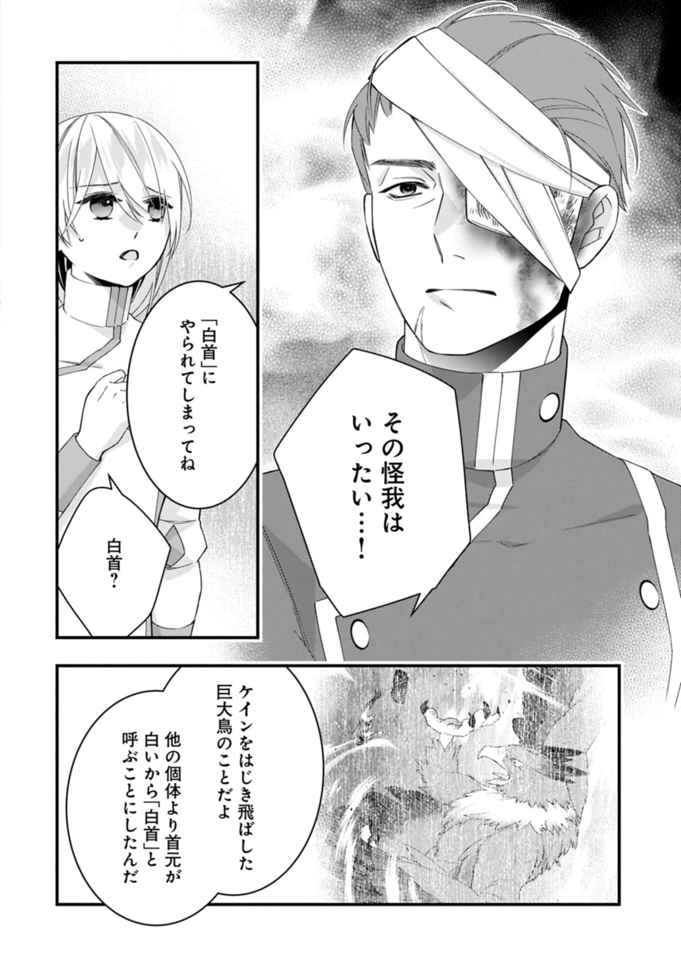 王空騎士団と救国の少女～空を飛ぶ少女アイリスの物語～ 第12.1話 - 4