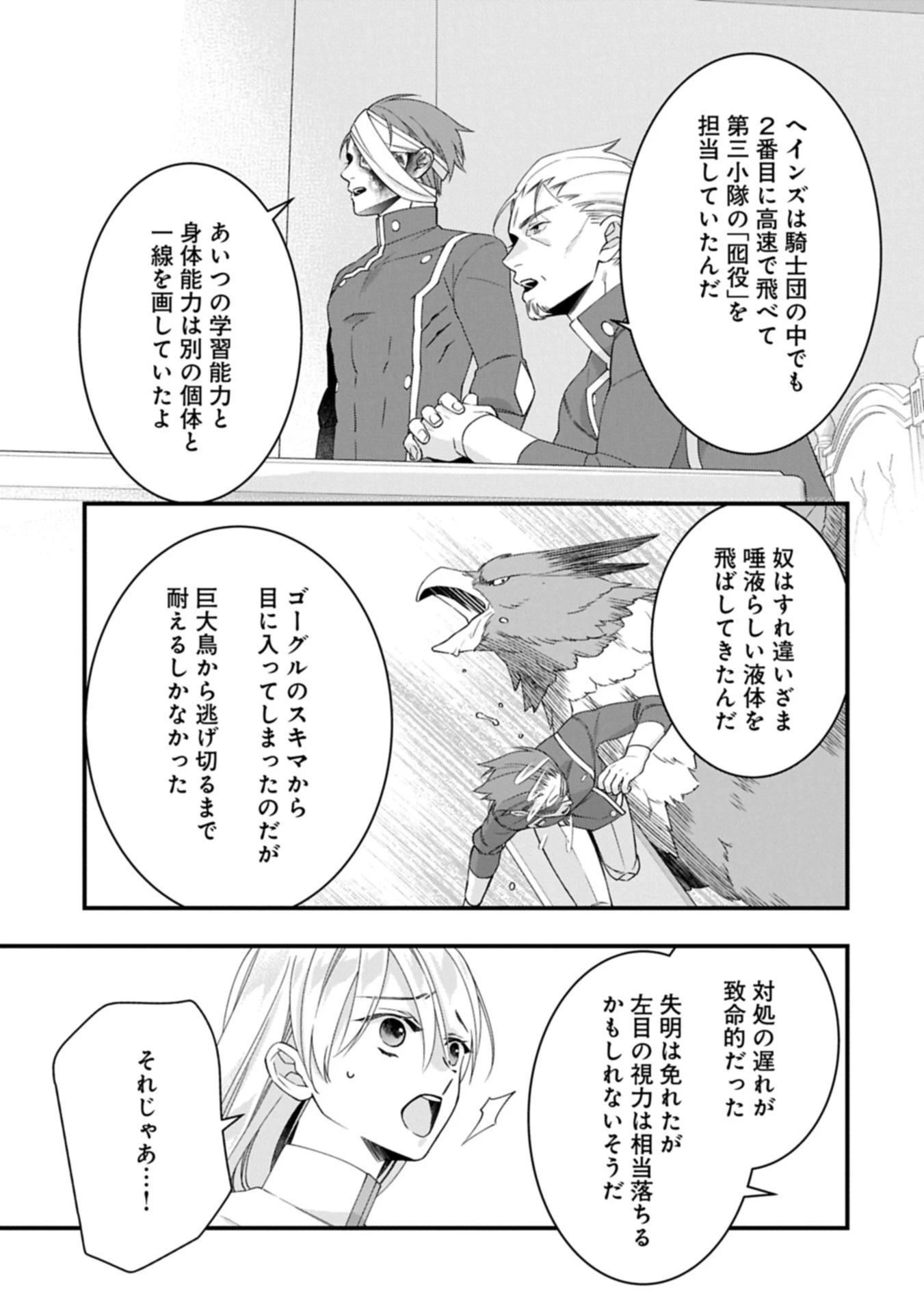 王空騎士団と救国の少女～空を飛ぶ少女アイリスの物語～ 第12.1話 - 5