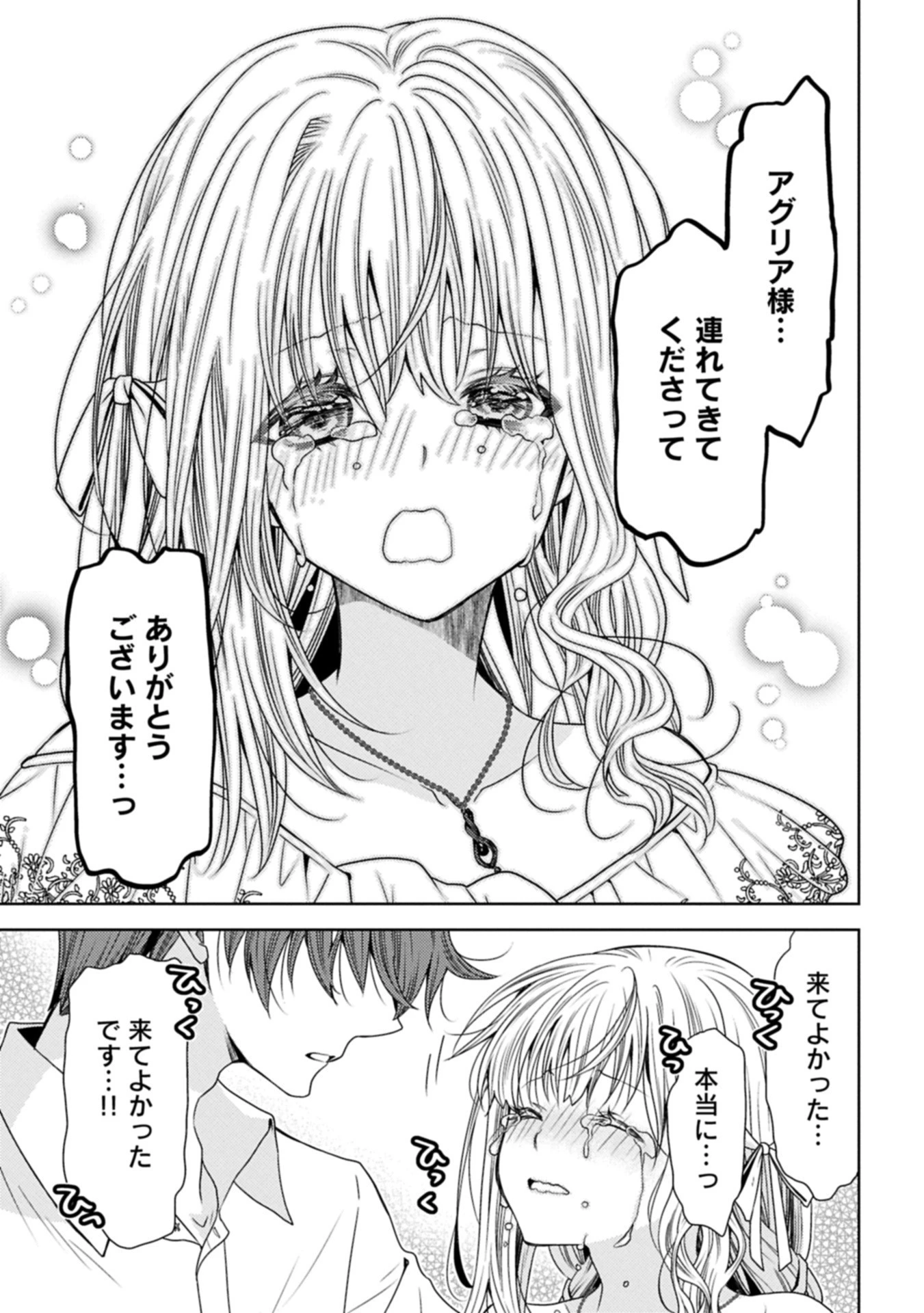 生贄第二皇女の困惑　～人質の姫君、敵国で知の才媛として大歓迎を受ける～ 第34.2話 - 11