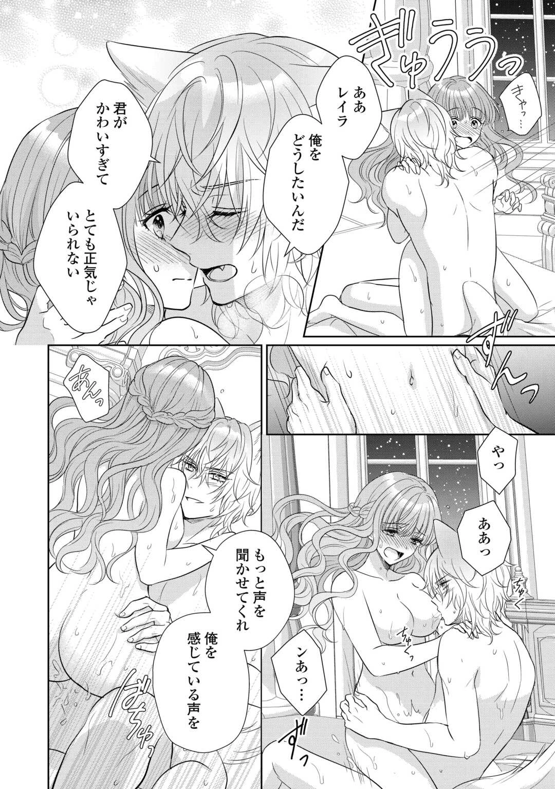 元仔狼の冷徹国王陛下に溺愛されて困っています! 第7話 - 12