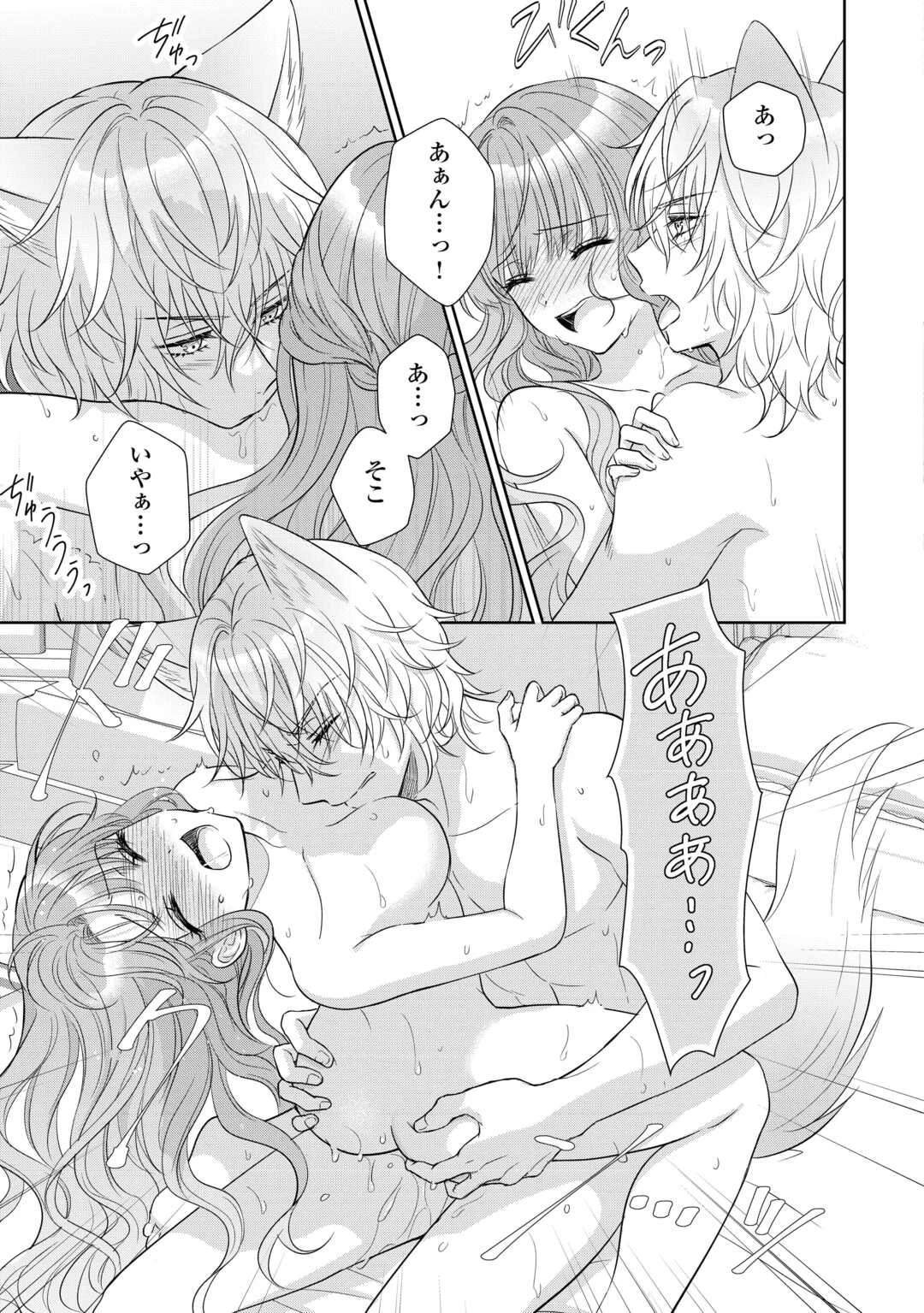 元仔狼の冷徹国王陛下に溺愛されて困っています! 第7話 - 13