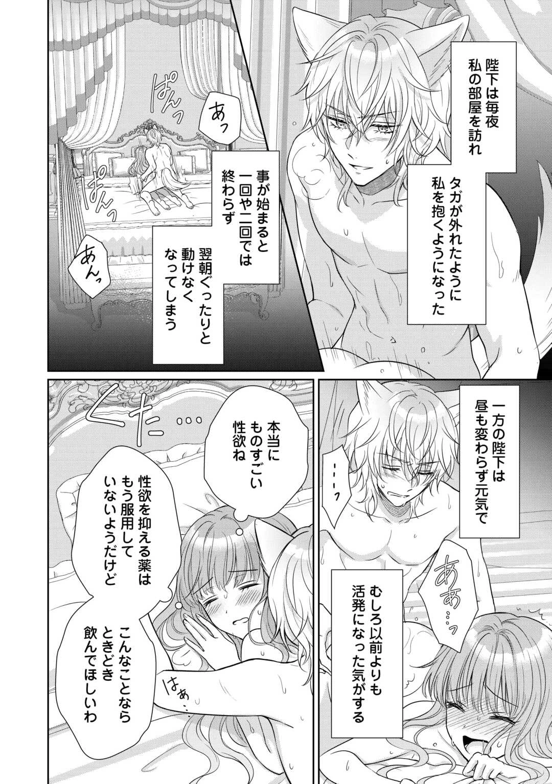 元仔狼の冷徹国王陛下に溺愛されて困っています! 第7話 - 20