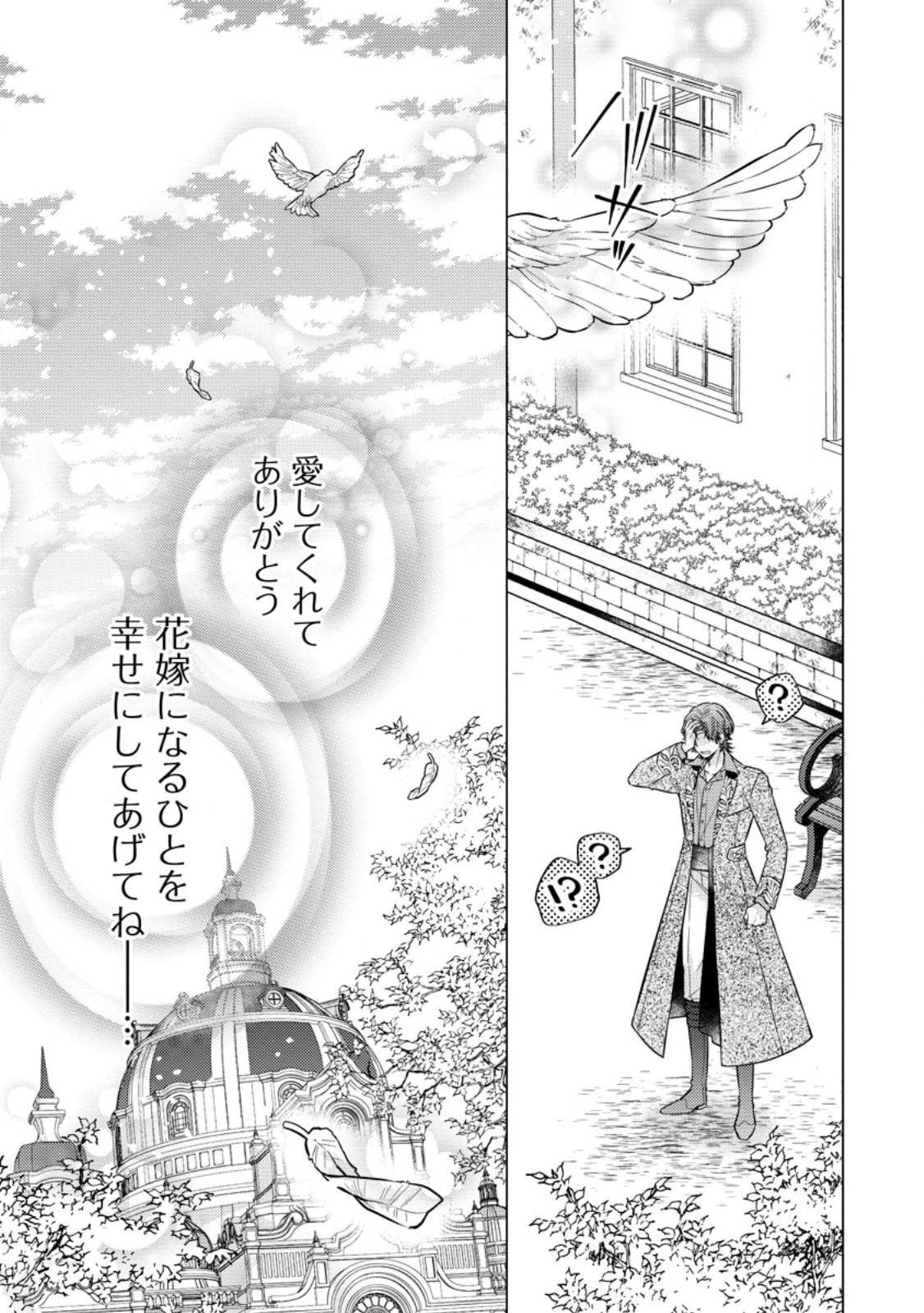 星屑の花嫁は運命の恋から逃げ出したい～王子様と強制結婚なんて無理！～ 第12.3話 - 11