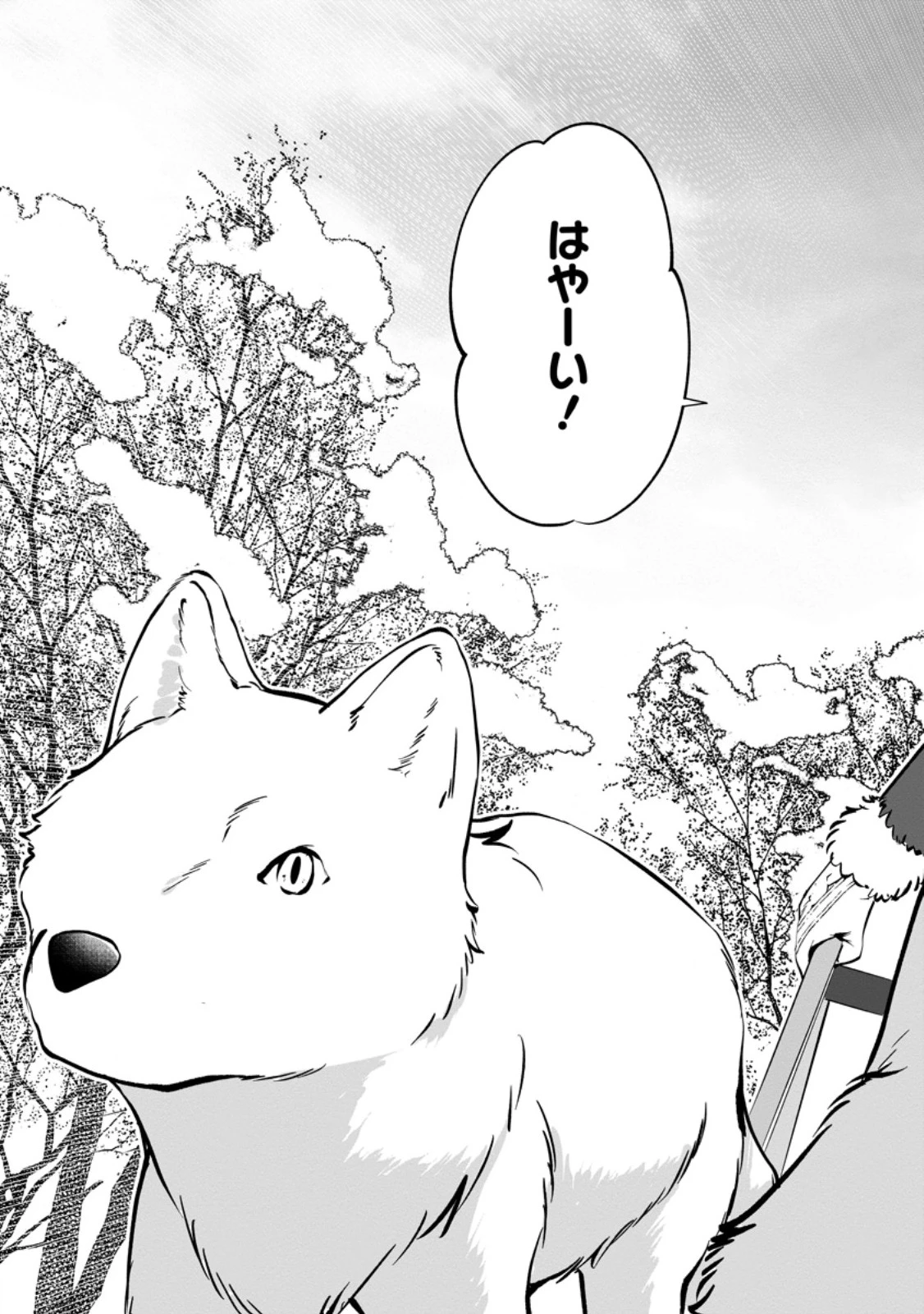 転生先で捨てられたので、もふもふ達とお料理します～お飾り王妃はマイペースに最強です～ 第44.1話 - 3