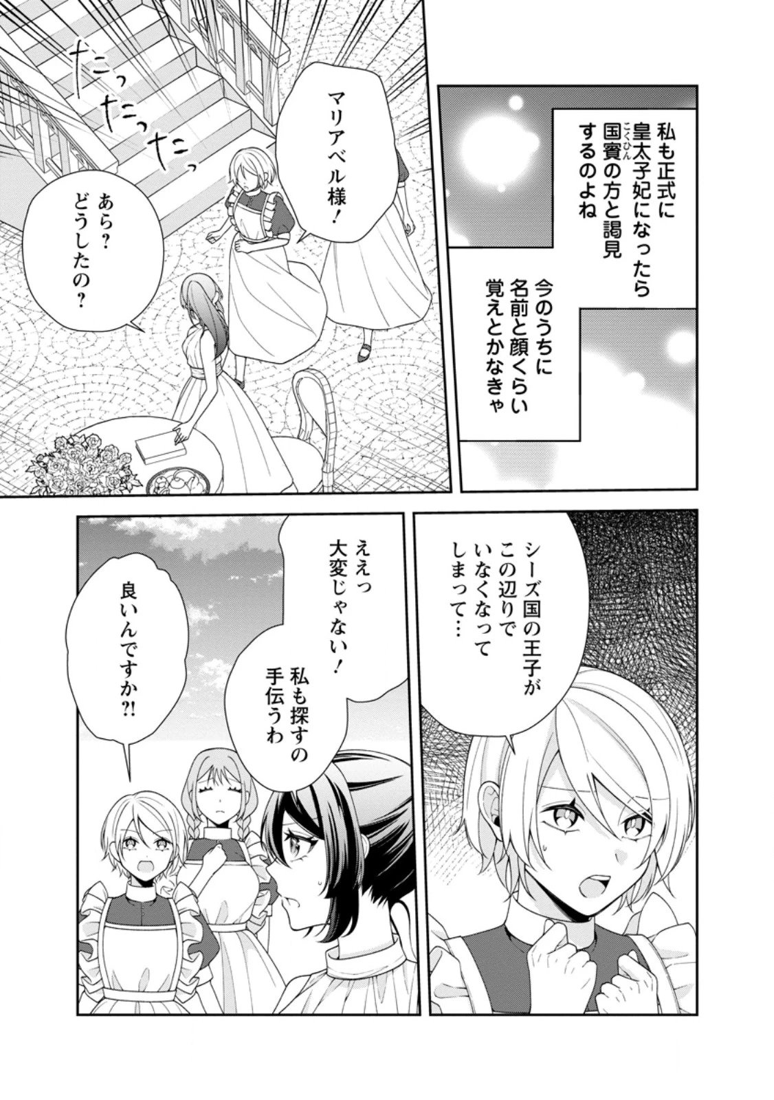 幸せに暮らしてますので放っておいてください! 第11話 - 9