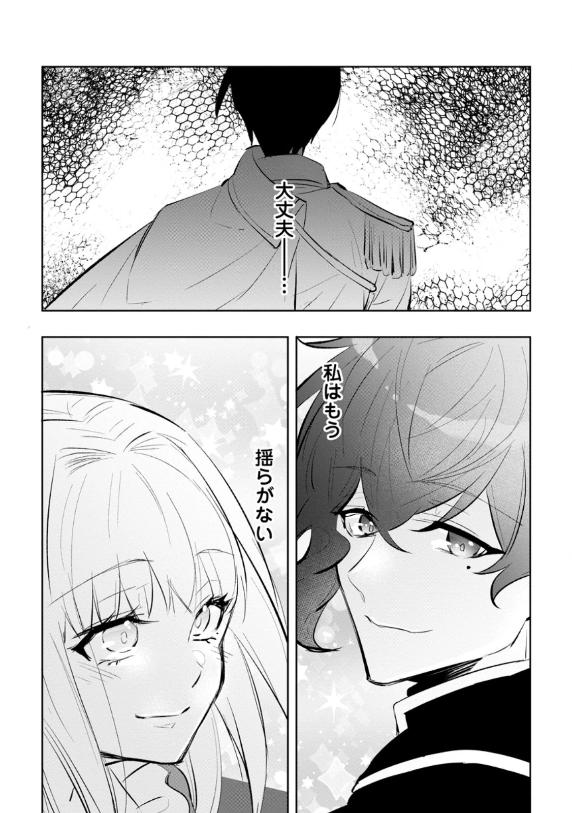 恋心に苦しむ王妃は、異国の薬師王太子に求愛される 第6.3話 - 10