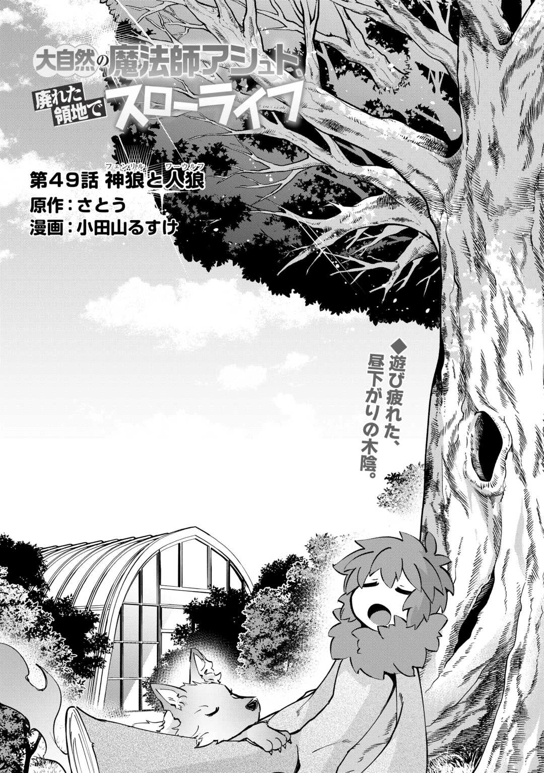 大自然の魔法師アシュト、廃れた領地でスローライフ 第49話 - 2