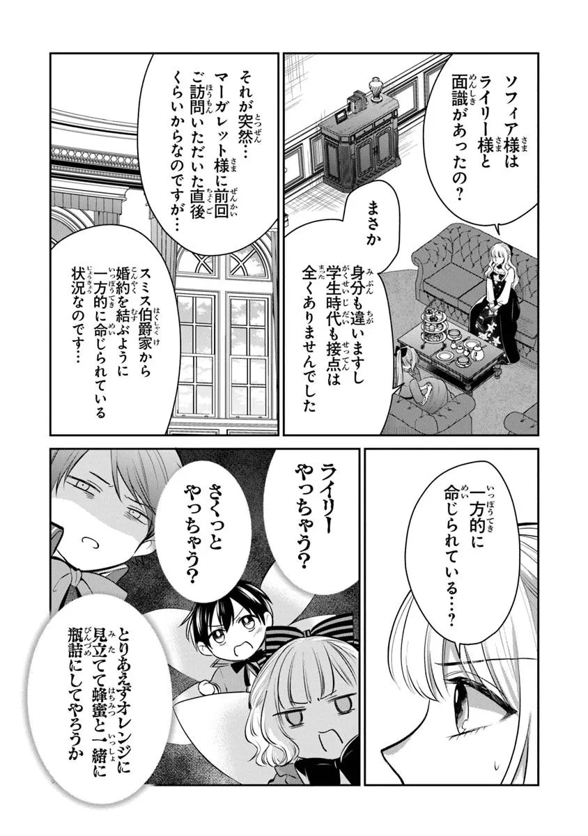 義妹が聖女だからと婚約破棄されましたが、私は妖精の愛し子です 第30.2話 - 6