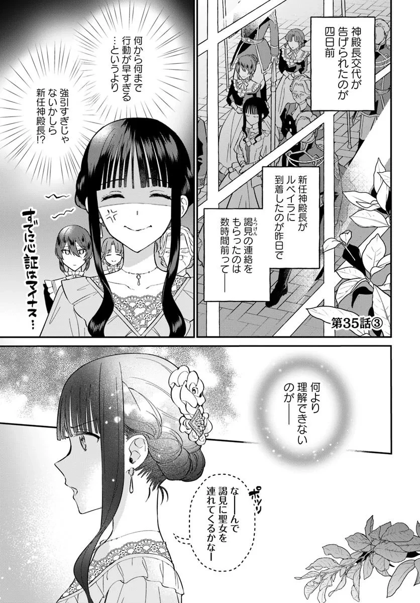 お飾り王妃になったので、こっそり働きに出ることにしました お飾り王妃になったので、こっそり働きに出ることにしました ～うさぎがいるので独り寝も寂しくありません！ 第35.3話 - 1