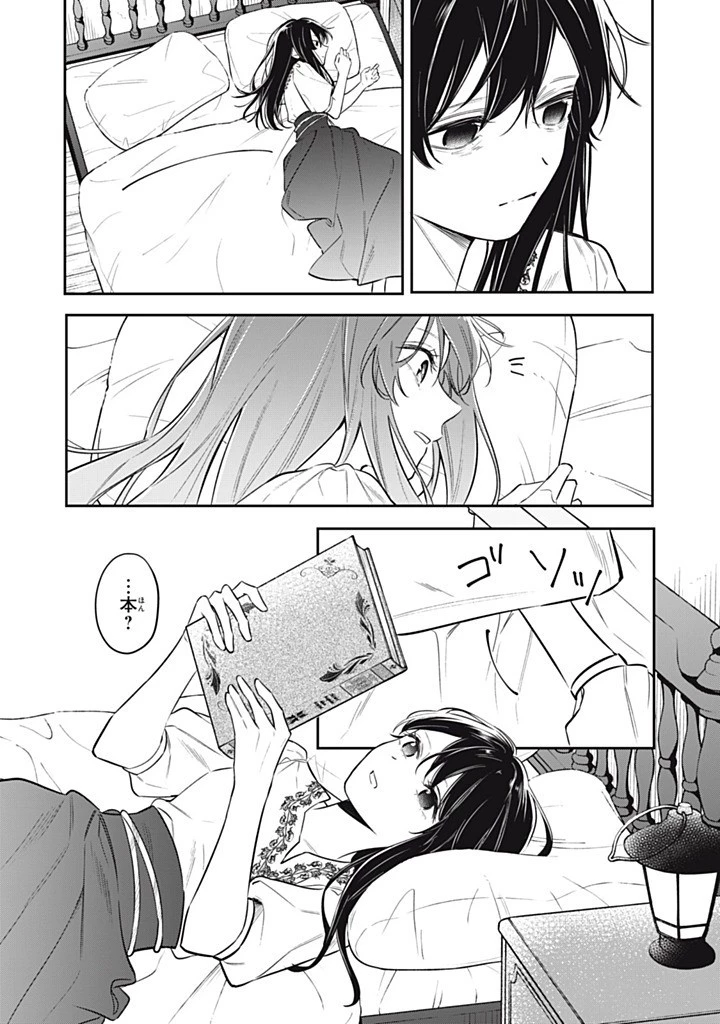 婚約破棄されたので、好きにすることにした。 第16.3話 - 9