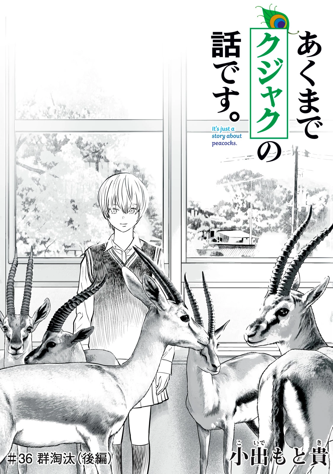 あくまでクジャクの話です。 第36話 - 1