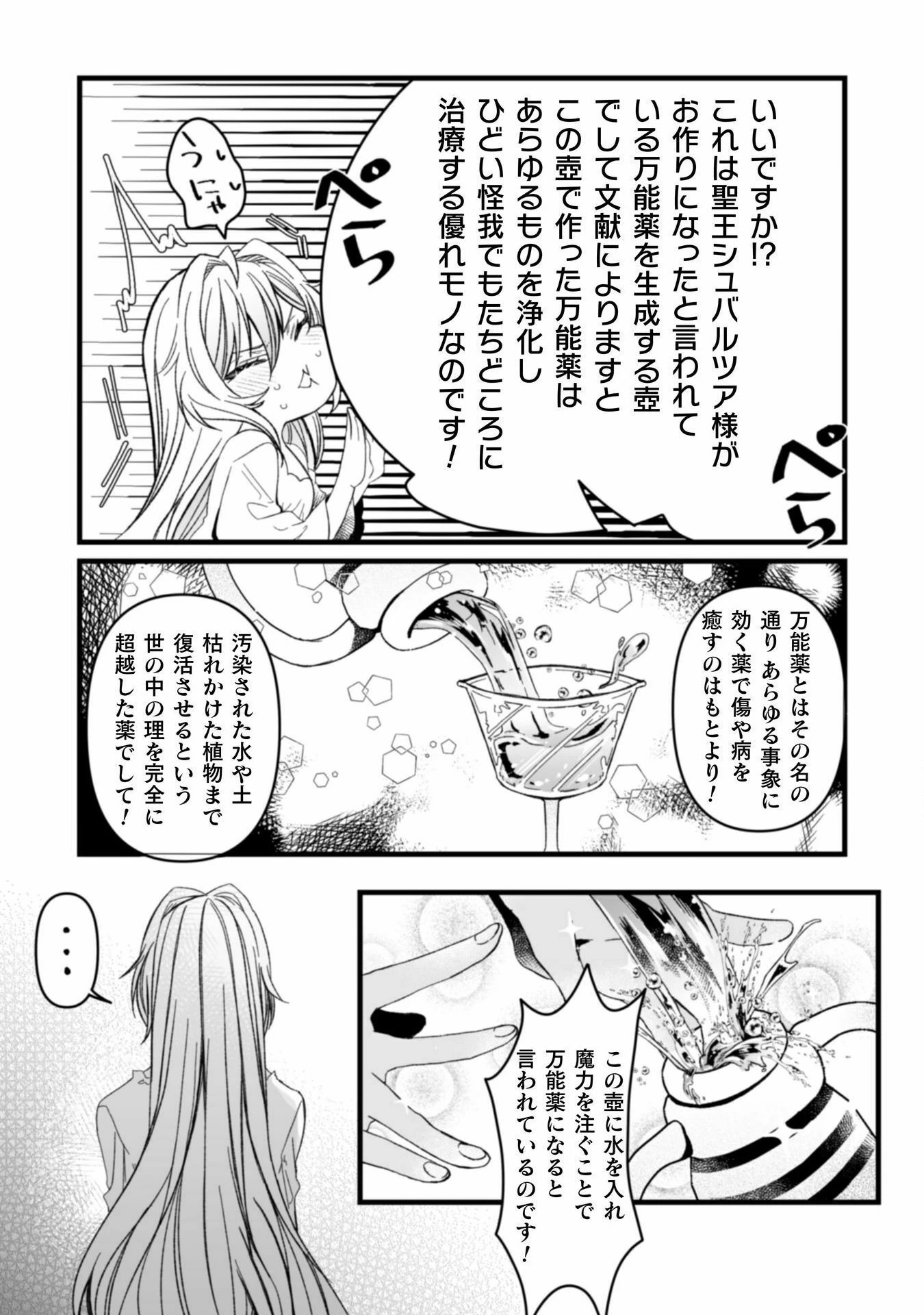 妹の身代わりで嫁いだはずが、どうやら私が真の聖女だったようです～自由気ままなスローライフを満喫しているのでほっといてください！～ 第6話 - 13