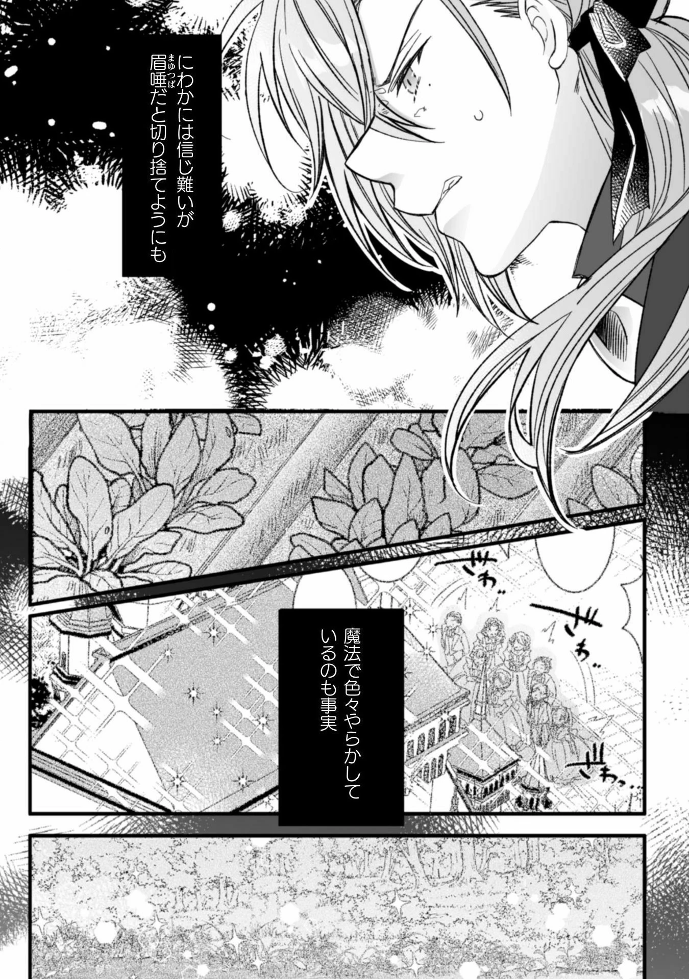 妹の身代わりで嫁いだはずが、どうやら私が真の聖女だったようです～自由気ままなスローライフを満喫しているのでほっといてください！～ 第6話 - 29