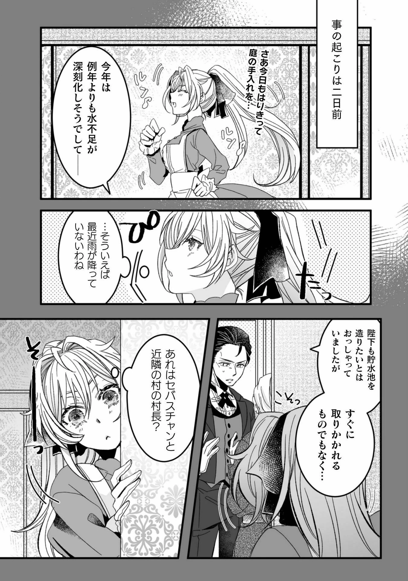 妹の身代わりで嫁いだはずが、どうやら私が真の聖女だったようです～自由気ままなスローライフを満喫しているのでほっといてください！～ 第4話 - 5