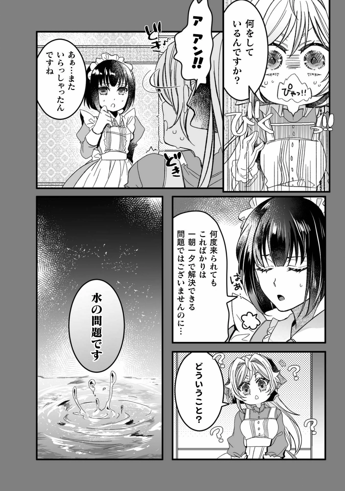 妹の身代わりで嫁いだはずが、どうやら私が真の聖女だったようです～自由気ままなスローライフを満喫しているのでほっといてください！～ 第4話 - 6