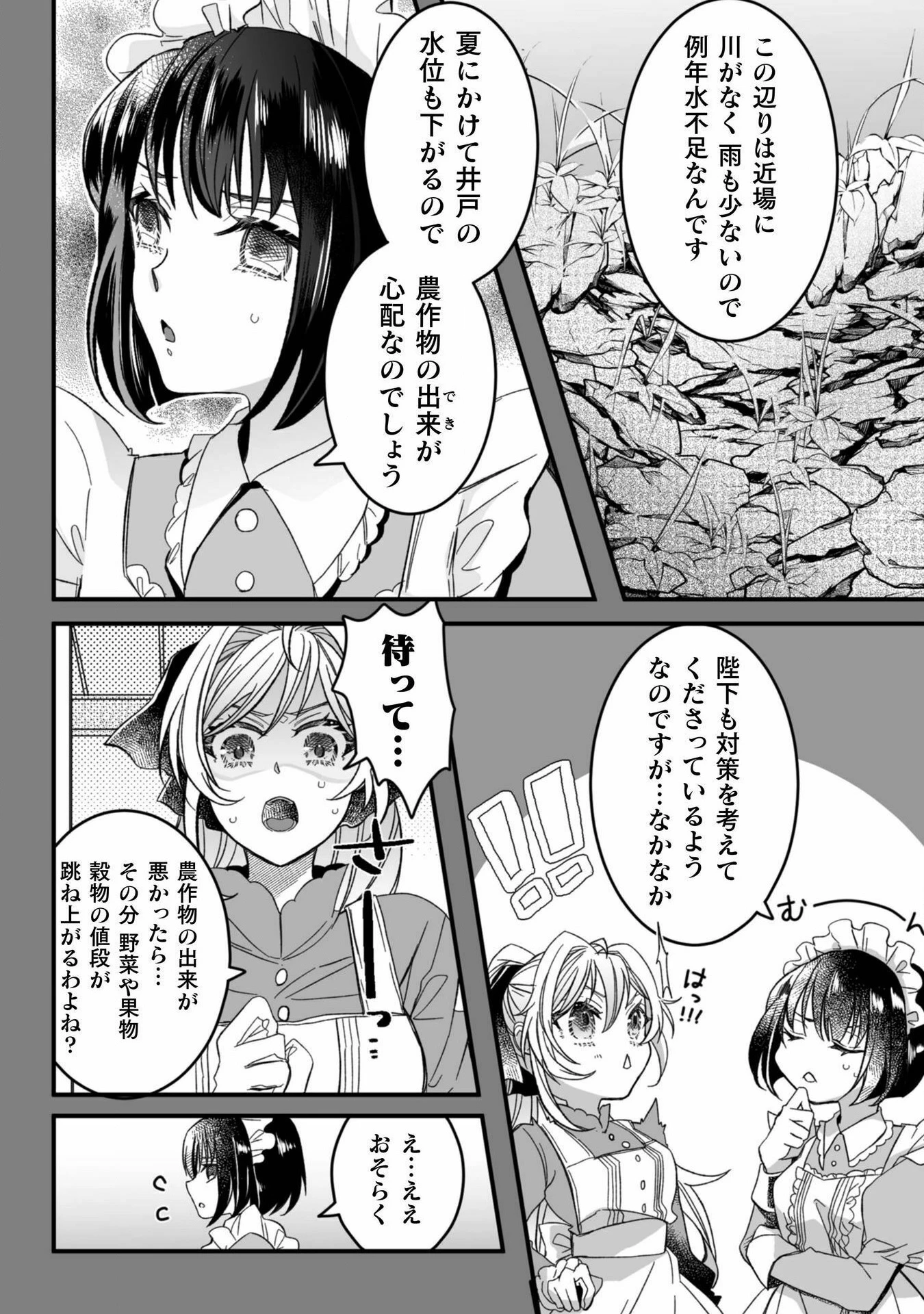 妹の身代わりで嫁いだはずが、どうやら私が真の聖女だったようです～自由気ままなスローライフを満喫しているのでほっといてください！～ 第4話 - 7