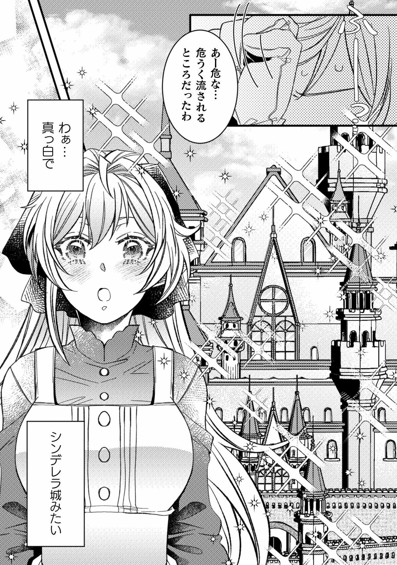 妹の身代わりで嫁いだはずが、どうやら私が真の聖女だったようです～自由気ままなスローライフを満喫しているのでほっといてください！～ 第3話 - 19