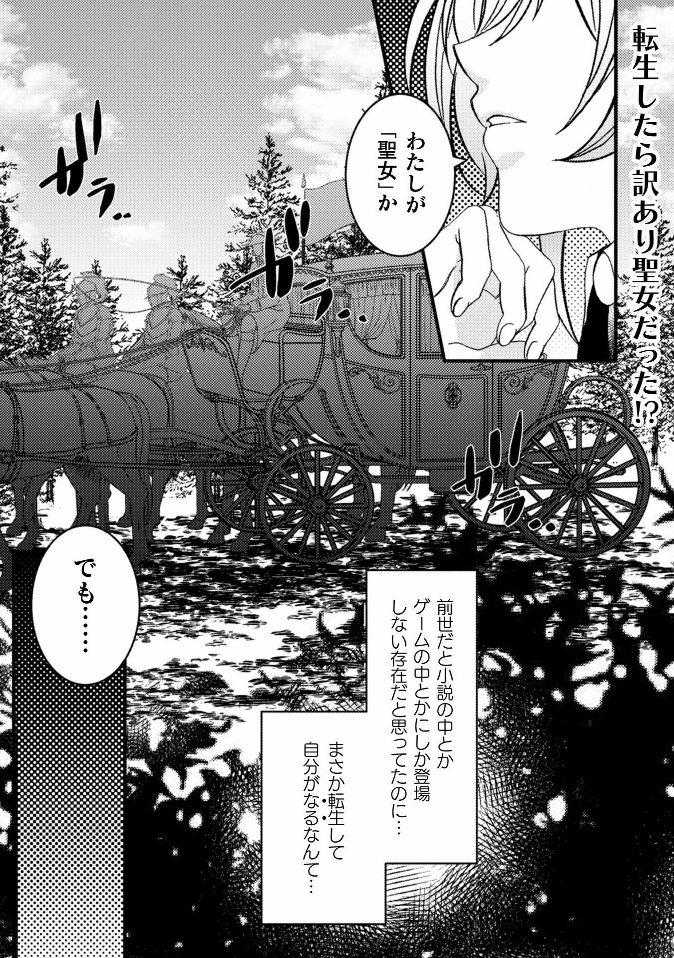 妹の身代わりで嫁いだはずが、どうやら私が真の聖女だったようです～自由気ままなスローライフを満喫しているのでほっといてください！～ 第1話 - 3