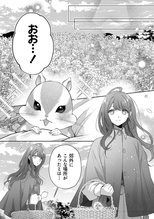 リスになってしまった婚約者が、毛嫌いしていたはずの私に助けを求めてきました。 第5.4話 - 1