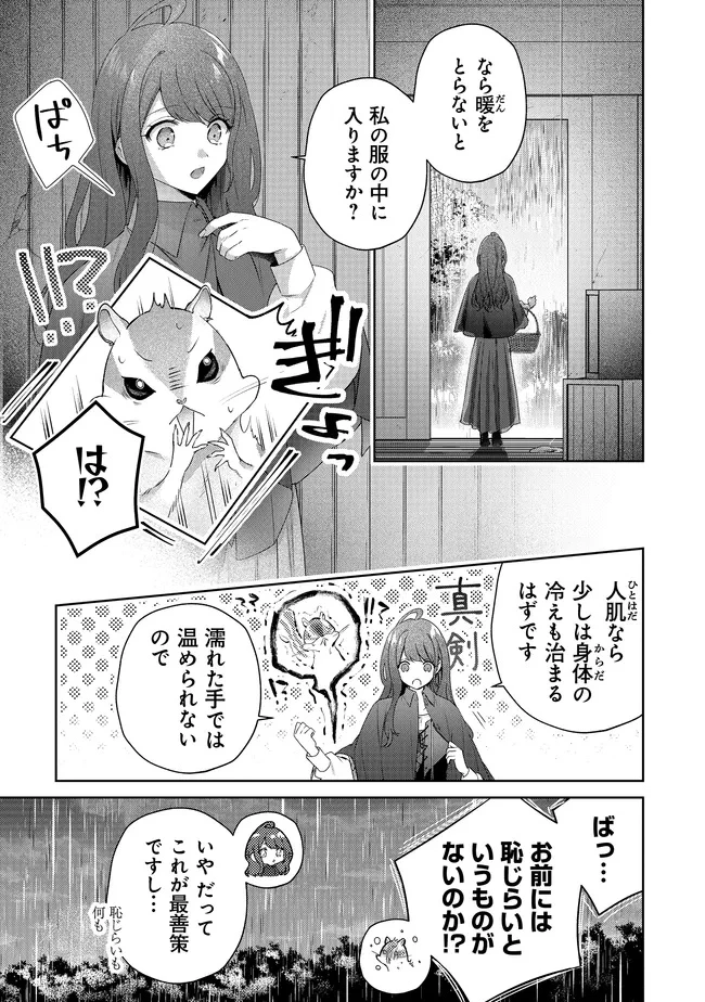 リスになってしまった婚約者が、毛嫌いしていたはずの私に助けを求めてきました。 第5.4話 - 7