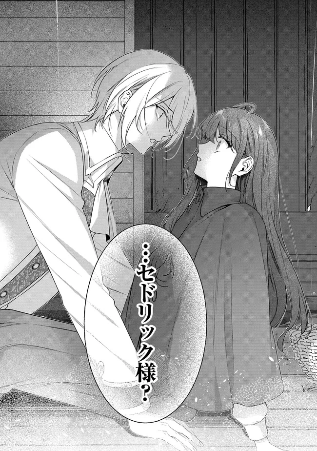 リスになってしまった婚約者が、毛嫌いしていたはずの私に助けを求めてきました。 第5.4話 - 11