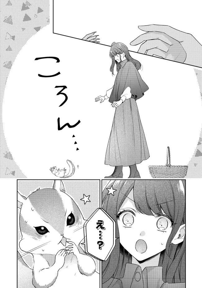 リスになってしまった婚約者が、毛嫌いしていたはずの私に助けを求めてきました。 第5.4話 - 20