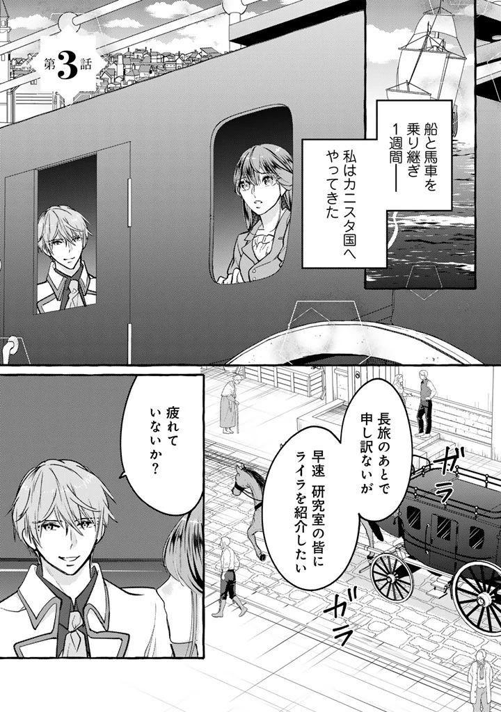虐げられた秀才令嬢と隣国の腹黒研究者様の甘やかな薬草実験室 第3話 - 1