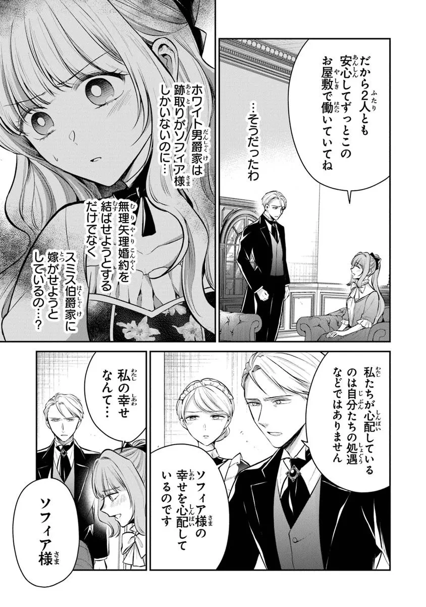 義妹が聖女だからと婚約破棄されましたが、私は妖精の愛し子です 第30.3話 - 5