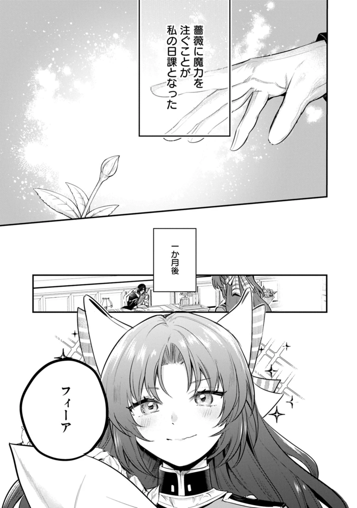 転生した大聖女は、聖女であることをひた隠す 第58.1話 - 17