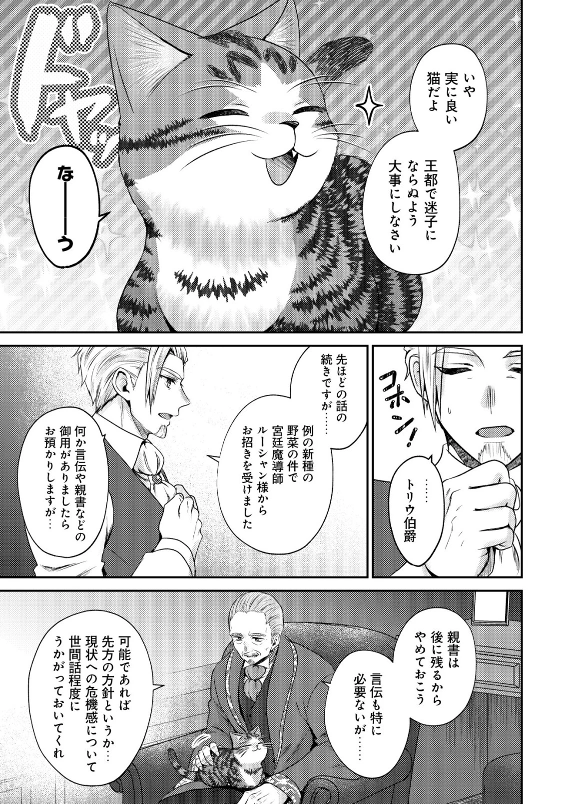我輩は猫魔導師である～キジトラ・ルークの快適チート猫生活～ 第24話 - 13