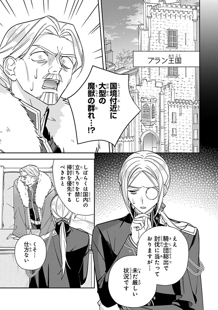 自由気ままな精霊姫 第27.2話 - 5