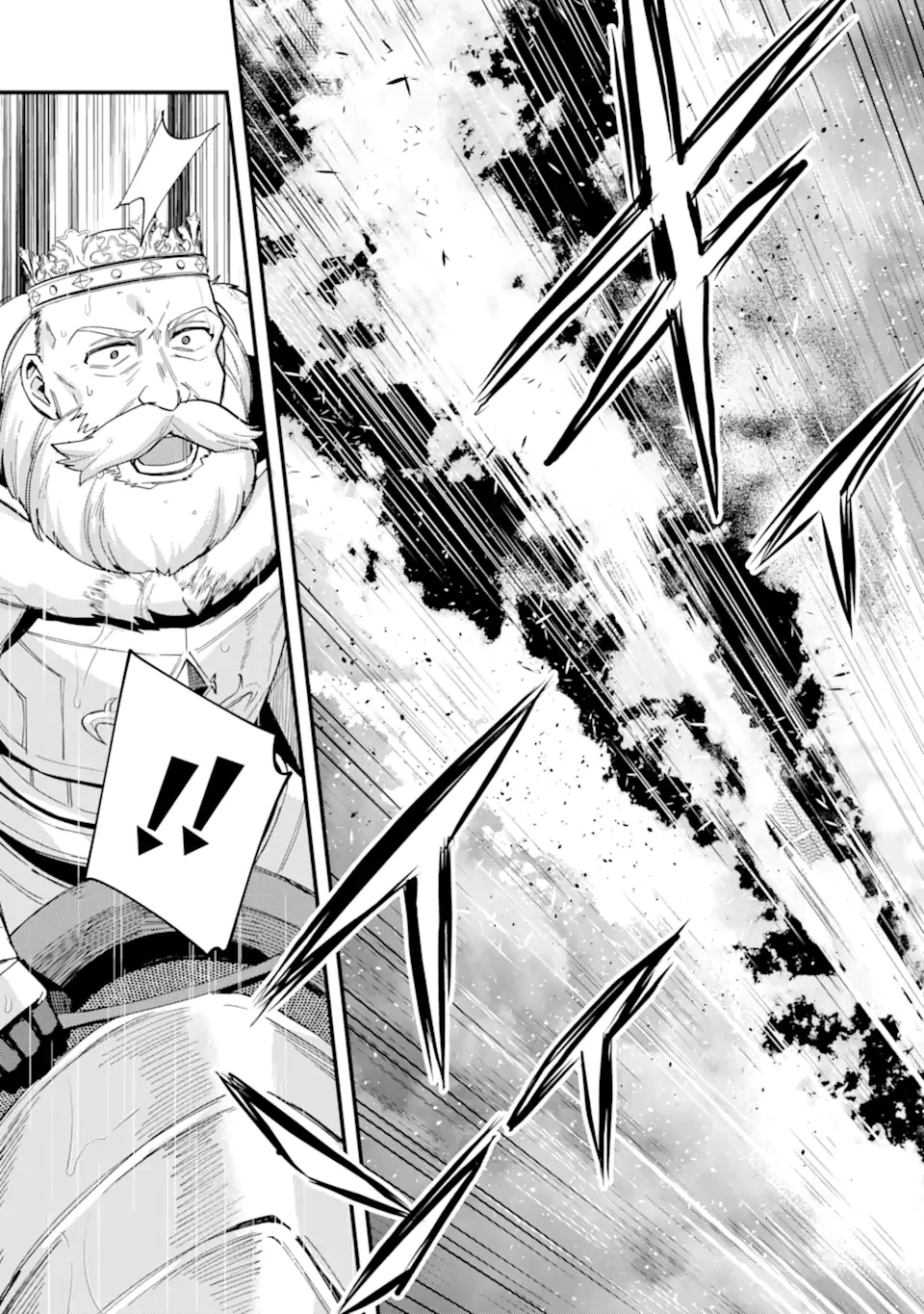 二度転生した少年はSランク冒険者として平穏に過ごす～前世が賢者で英雄だったボクは来世では地味に生きる～ 第48.2話 - 1