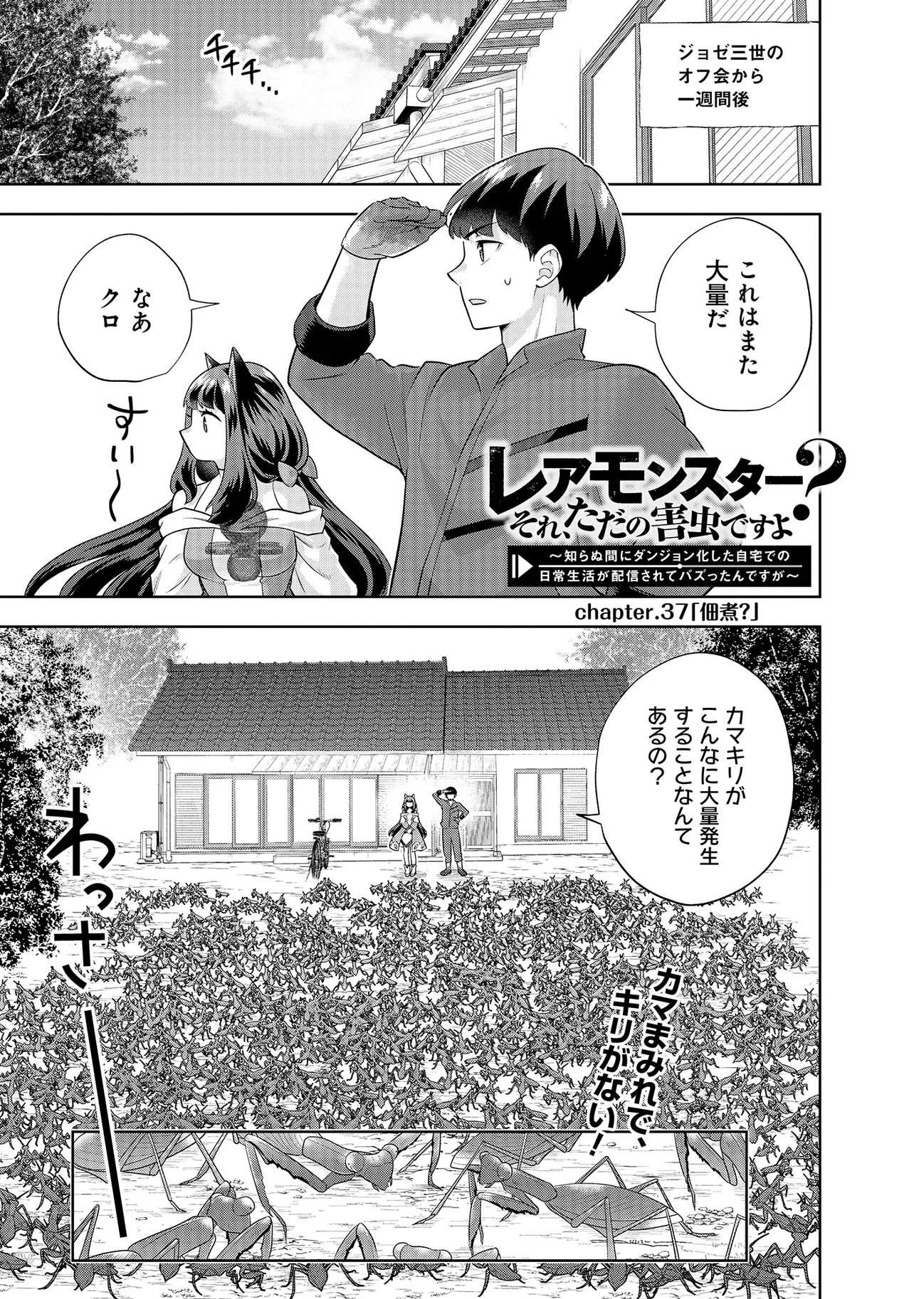 レアモンスター？それ、ただの害虫ですよ ～知らぬ間にダンジョン化した自宅での日常生活が配信されてバズったんですが～ 第37話 - 1