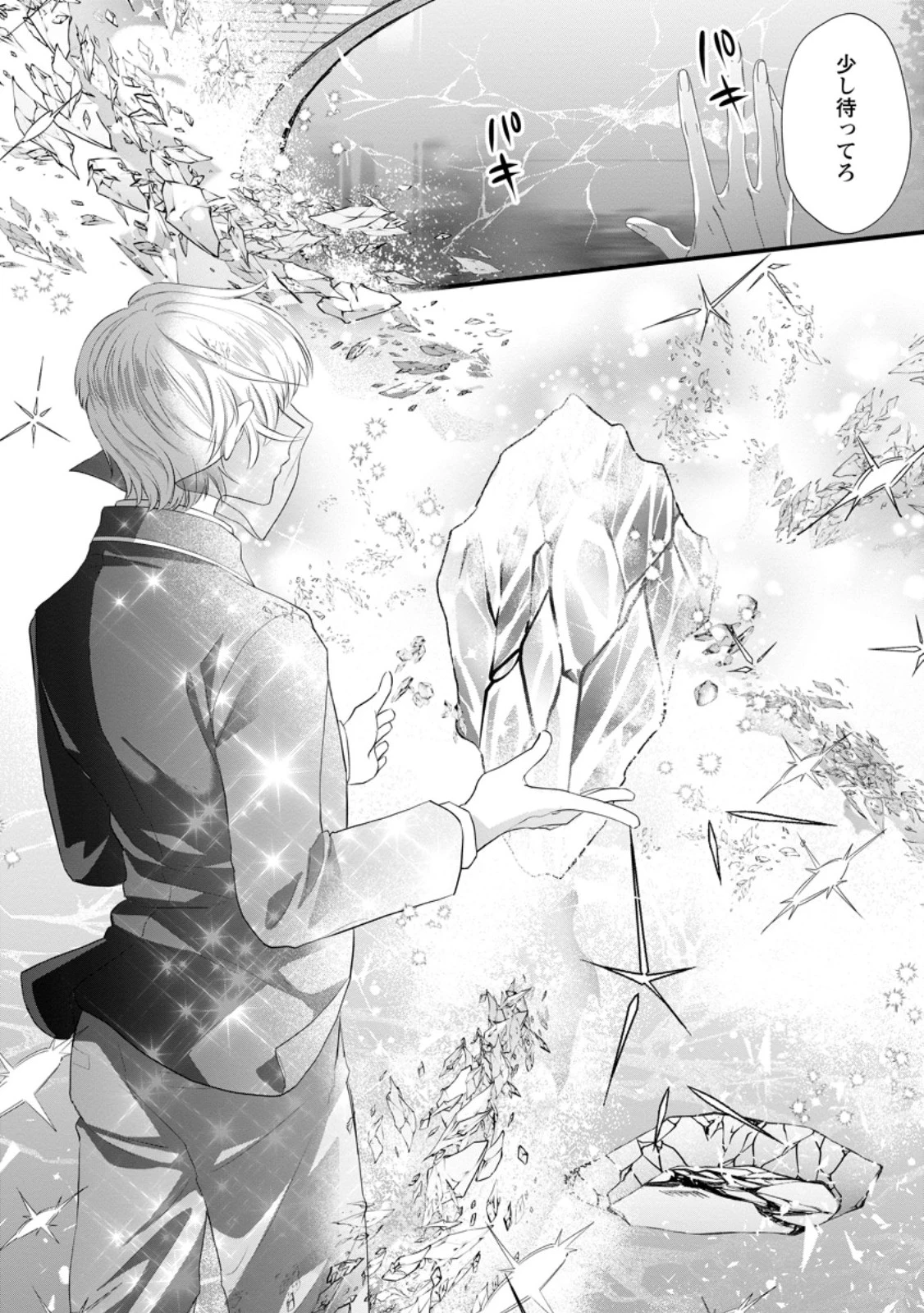 家族に役立たずと言われ続けたわたしが、魔性の公爵騎士様の最愛になるまで 第29.2話 - 5