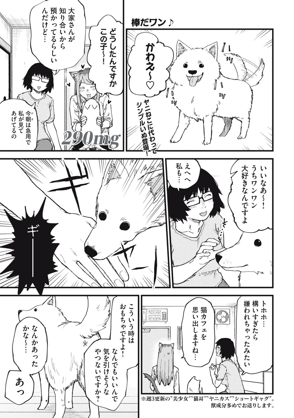 ヤニねこ 第290話 - 1