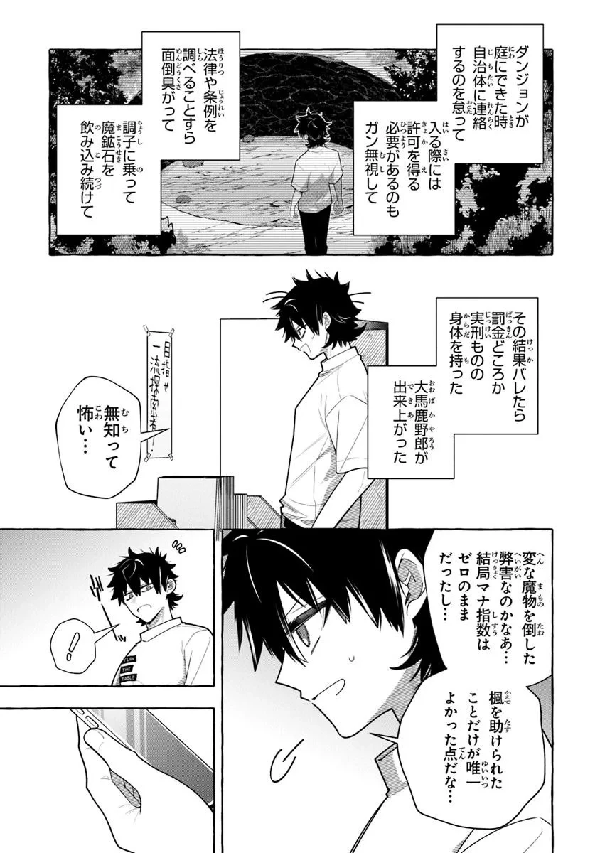 金属スライムを倒しまくった俺が【黒鋼の王】と呼ばれるまで 第14.2話 - 5