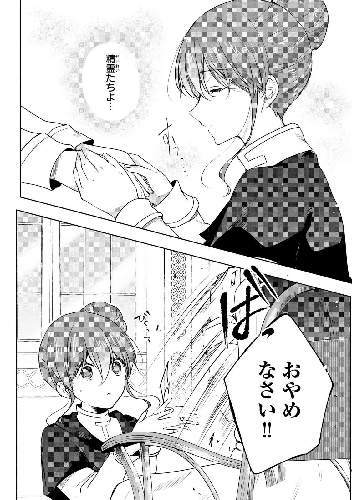 聖女様をお探しでしたら妹で間違いありません。さあどうぞお連れください、今すぐ。 第25.2話 - 10